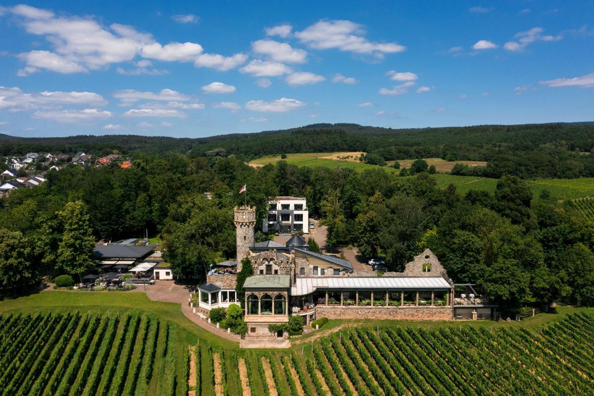 Relais & Chateaux Hotel Burg Schwarzenstein Geisenheim Exteriér fotografie