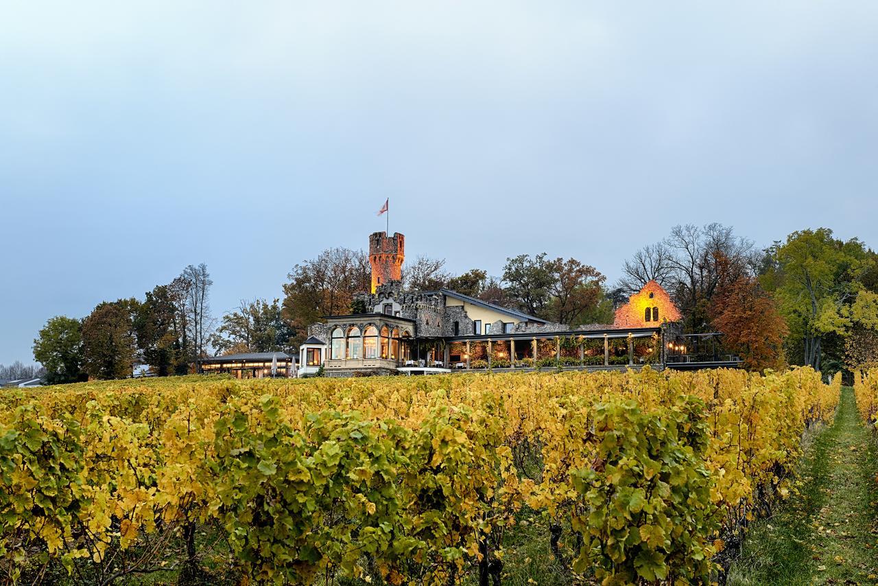 Relais & Chateaux Hotel Burg Schwarzenstein Geisenheim Exteriér fotografie